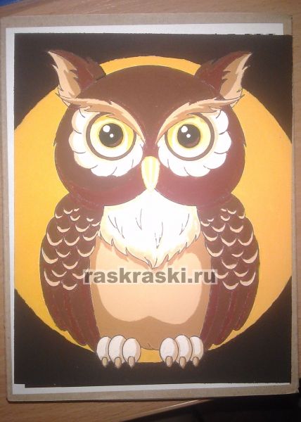 Раскраскам по номерам Раскраскам по номерам
