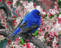 Цветной / Картина по номерам «Синяя птица»