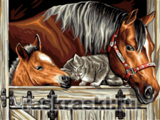 Цветной / Картина по номерам «Котенок и лошади»