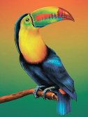 Цветной / Картина по номерам «Тропическая птица»
