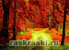 Алмазная вышивка Яркие Грани «Осенний лес»