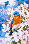 Molly / Картина по номерам «Весенние птицы»