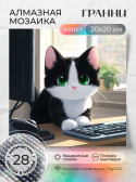    | : Ag 3203