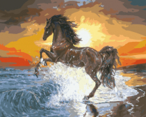 Цветной / Картина по номерам «Конь на закате»
