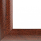  Netta () (2025 ) | : 4124-BK