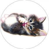 Набор для вышивания крестом Цветной «Милый котенок»