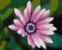 Артвентура / Картина по номерам «Цветок на зеленом фоне»