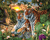 Цветной / Картина по номерам «Семья тигров»