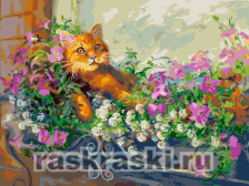 Белоснежка / Картина по номерам «Любимый кот на отдыхе»