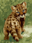 Цветной / Картина по номерам «Маленький леопард»