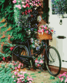 Цветной / Картина по номерам «Велосипед с цветами»