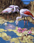 Цветной / Картина по номерам «Фламинго»
