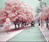 Цветной Премиум / Картина по номерам «Розовое настроение»