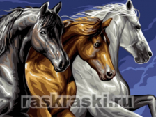 Цветной / Картина по номерам «Тройка лошадей»