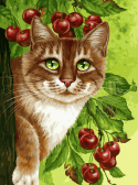 Белоснежка / Картина по номерам «Кот на вишнёвом дереве»