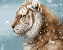 Цветной / Картина по номерам «Тигр»