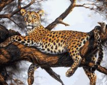 Белоснежка / Картина по номерам «Леопард на отдыхе»