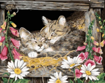 Цветной / Картина по номерам «Котята в гнезде»