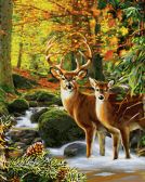 Schipper / Картина по номерам «Олени в лесу»