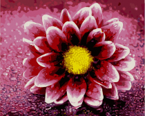 Артвентура / Картина по номерам «Бутон цветка»