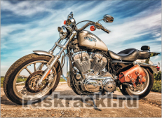 Harley-Davidson Sportster | : LG226