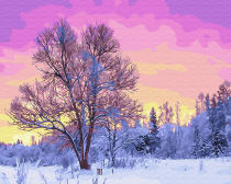 Цветной / Картина по номерам «Пурпурное утро»