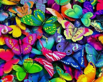 Алмазная вышивка Гранни «Разноцветные бабочки»