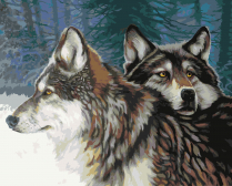 Артвентура / Картина по номерам «Взгляд волчицы»