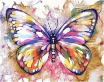Paintboy / Картина по номерам «Разноцветная бабочка»