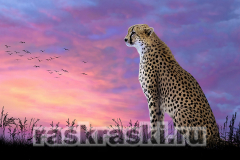 Мозаика Алмазное Хобби «Леопард на закате»