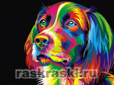 Цветной / Картина по номерам «Радужный пёс»