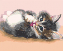 Цветной Премиум / Картина по номерам «Милый котенок»