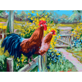 ���������� / ������� �� ������� �������� �������