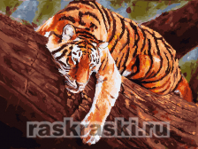 Белоснежка / Картина по номерам «Тигр на дереве»