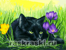 Белоснежка / Картина по номерам «Кот и крокусы»