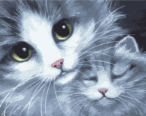 Цветной / Картина по номерам «Кошка с котенком»