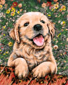Цветной / Картина по номерам «Веселый щенок»