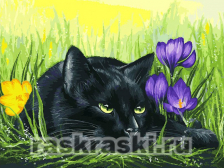 Белоснежка / Картина по номерам «Кот и крокусы»