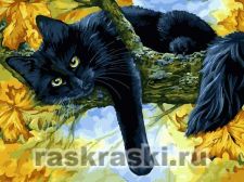 Белоснежка / Картина по номерам «Осенний кот»