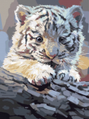 Цветной / Картина по номерам «Бенгальский тигренок на бревне»