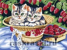 Белоснежка / Картина по номерам «Котята в саду»