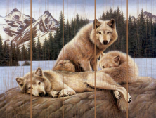 Molly / Картина по номерам «Семья островных волков»