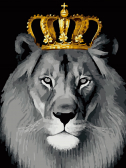 Цветной Премиум / Картина по номерам «Король лев»