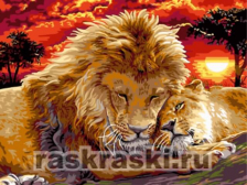 Цветной / Картина по номерам «Львы на закате»