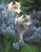 Артвентура / Картина по номерам «Волчья верность»
