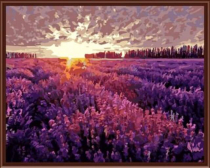 Цветной / Картина по номерам «Рассвет над лавандовым полем»