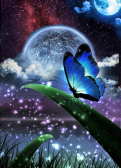 Мозаика Алмазное Хобби «Лунная бабочка»