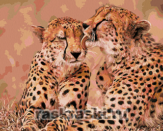 Артвентура / Картина по номерам «Гепарды милуются»