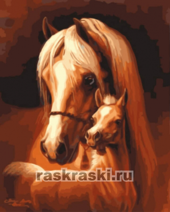 Цветной / Картина по номерам «Лошадь и жеребёнок»