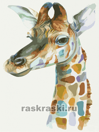 Цветной Премиум / Картина по номерам «Жираф»